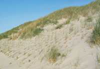 inselschutz2a