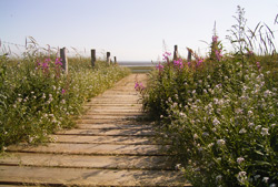 wangerooge-uebergg_nieleb-rath (26K)