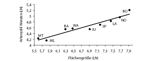 heteroptera_abb04.gif