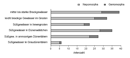 nepomorpha_abb02.gif