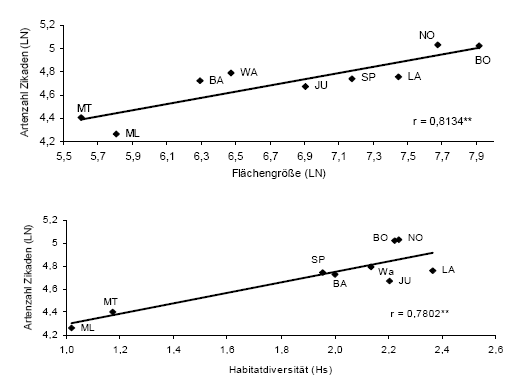 auchenorrhyncha_abb01.gif