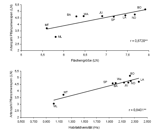 symphyta_abb01.gif