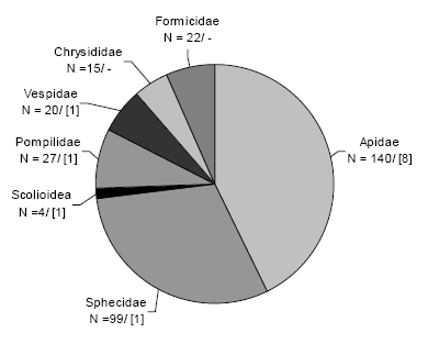 aculeata_abb01.gif