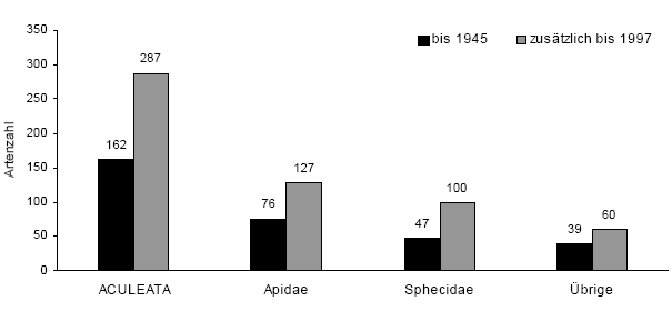 aculeata_abb04.gif