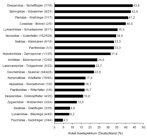 macrolepidoptera_abb02.gif